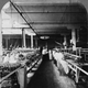 Image for article titled Utterly Disturbing, Century-Old Photos of Meat-Packing Facilities